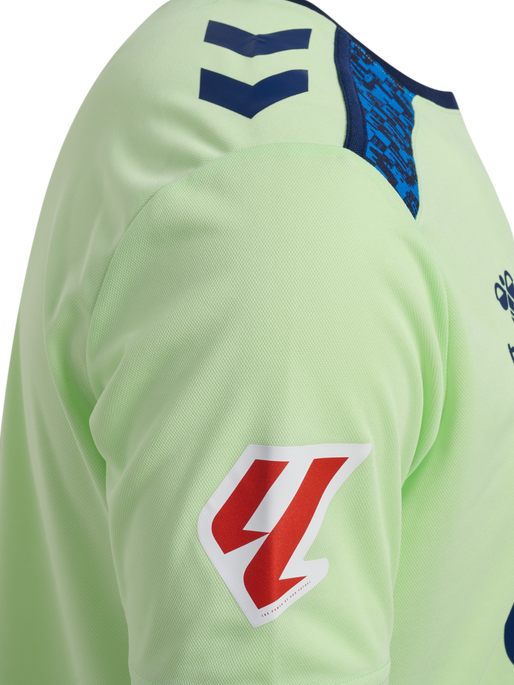 UDLP 24/25 COMMUNITY JERSEY SS, PATINA GREEN, packshot