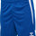 TRUE BLUE