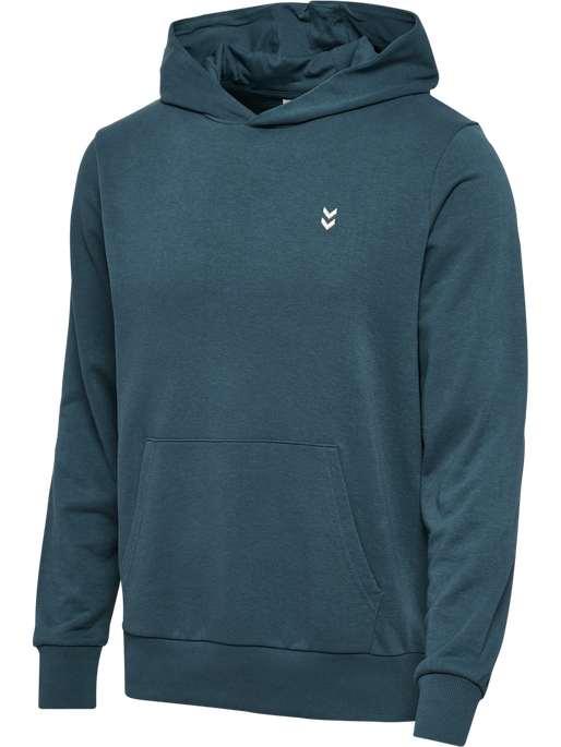 hmlPULSE SWEAT HOODIE, STARGAZER, packshot