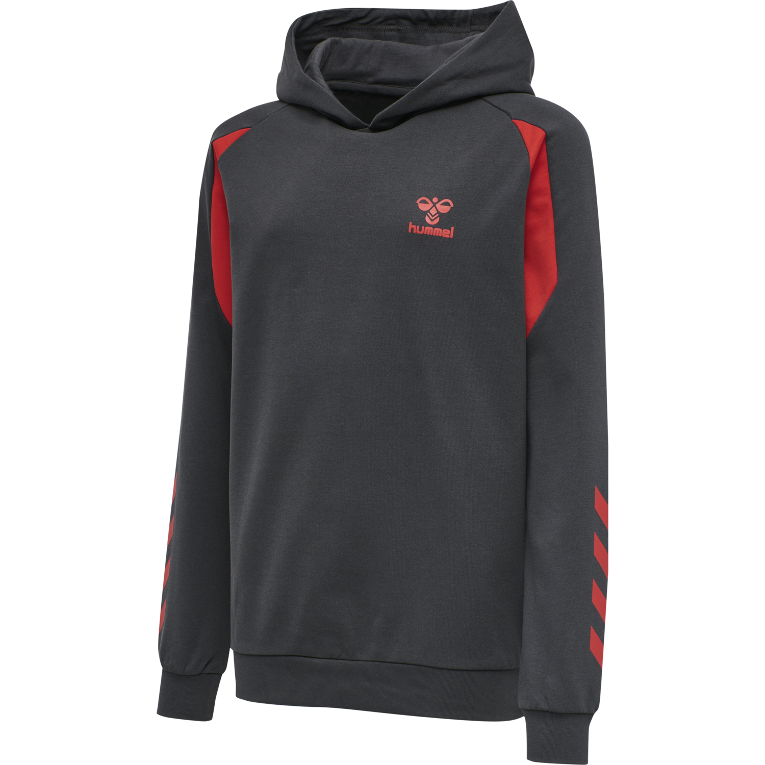 hmlACTION COTTON HOODIE KIDS, 2367, packshot