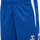 TRUE BLUE