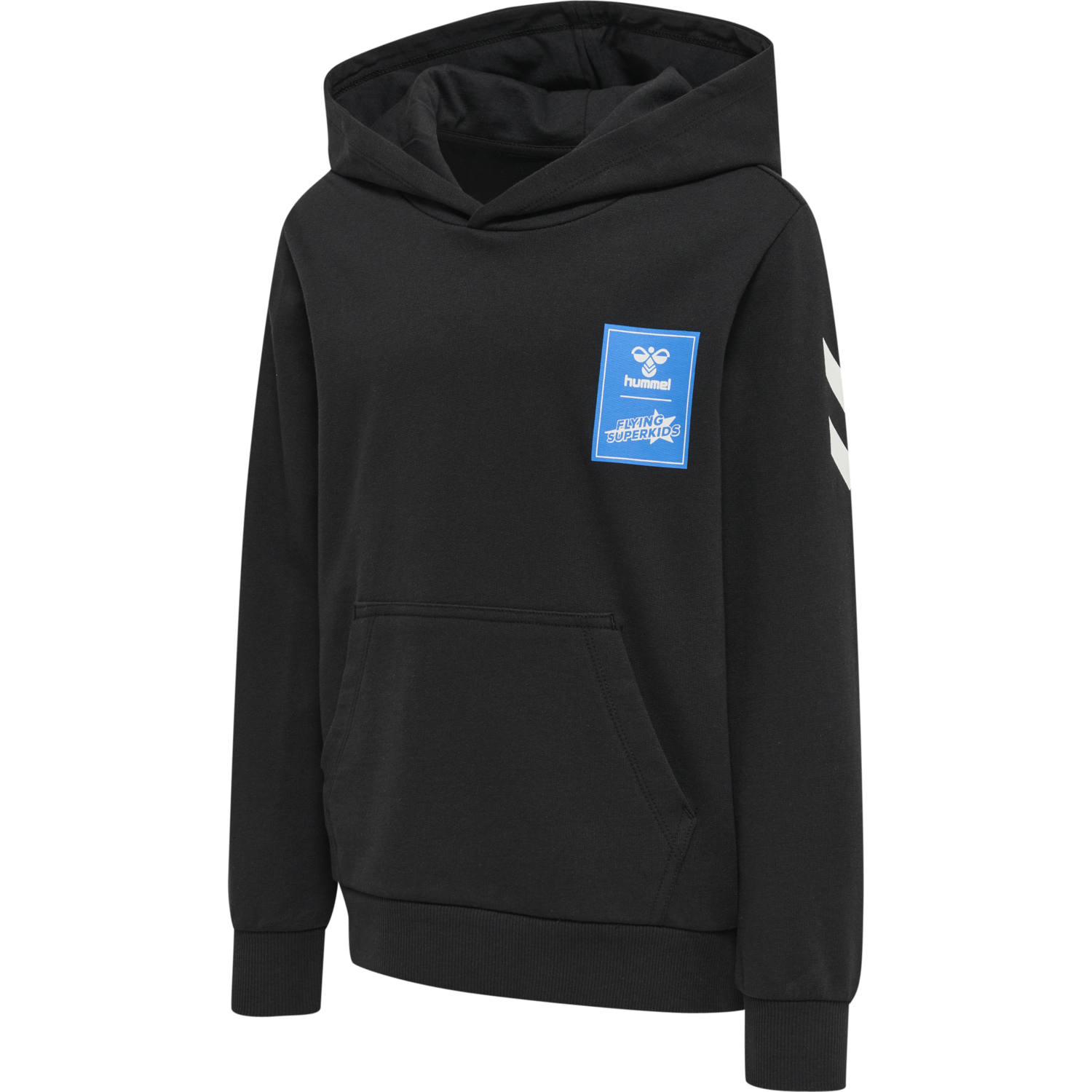 hmlFLYING SPRING HOODIE, BLACK, packshot