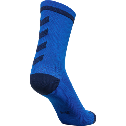 ELITE INDOOR SOCK LOW PA, PRINCESS BLUE, packshot