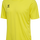 BLAZING YELLOW