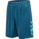 BLUE CORAL
