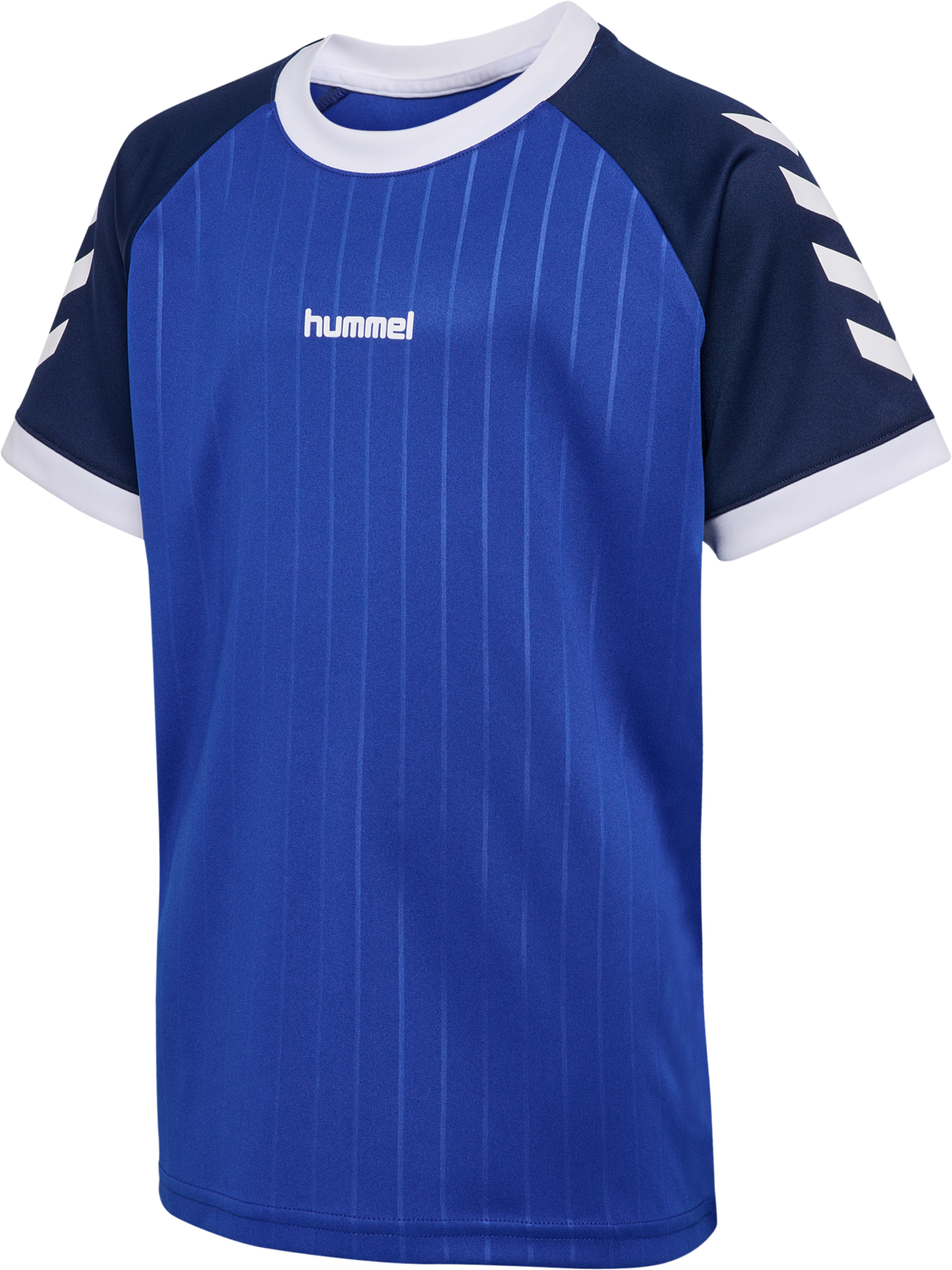 hmlJR STRIPE T-SHIRT S/S, SURF THE WEB, packshot