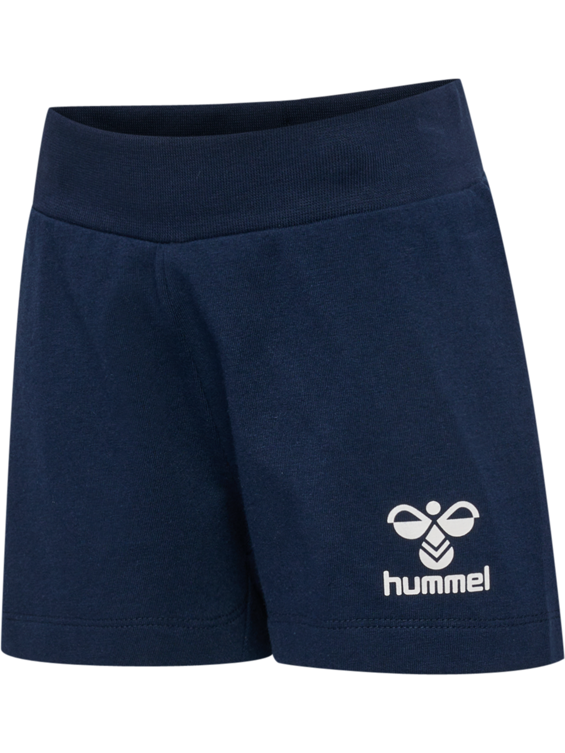 hmlJOC SHORTS, BLACK IRIS, packshot