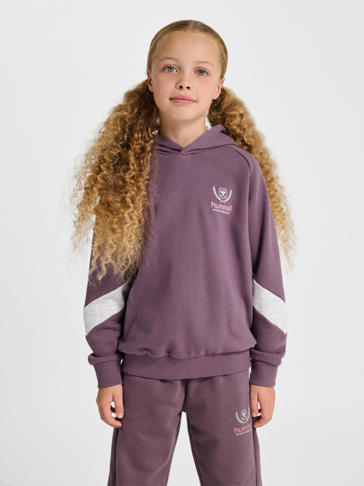 hmlJR LOOSE HOODIE BTS, FLINT, model