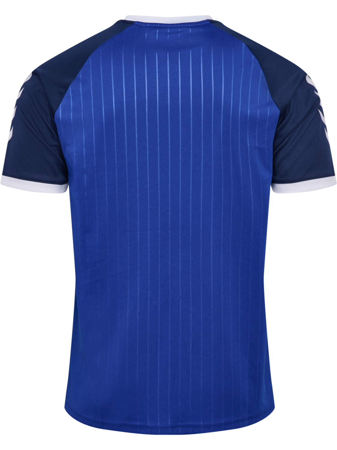 hmlPULSE STRIPE T-SHIRT S/S, SURF THE WEB, packshot