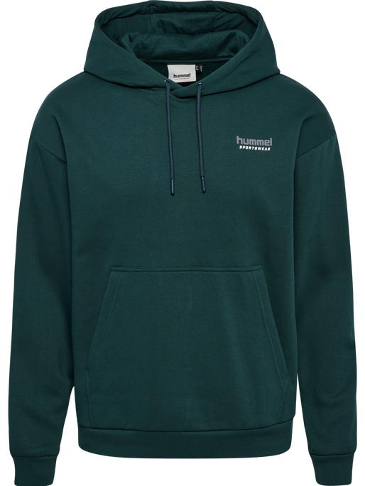hmlLOOSE HOODIE SPORTSWEAR, PONDEROSA PINE, packshot