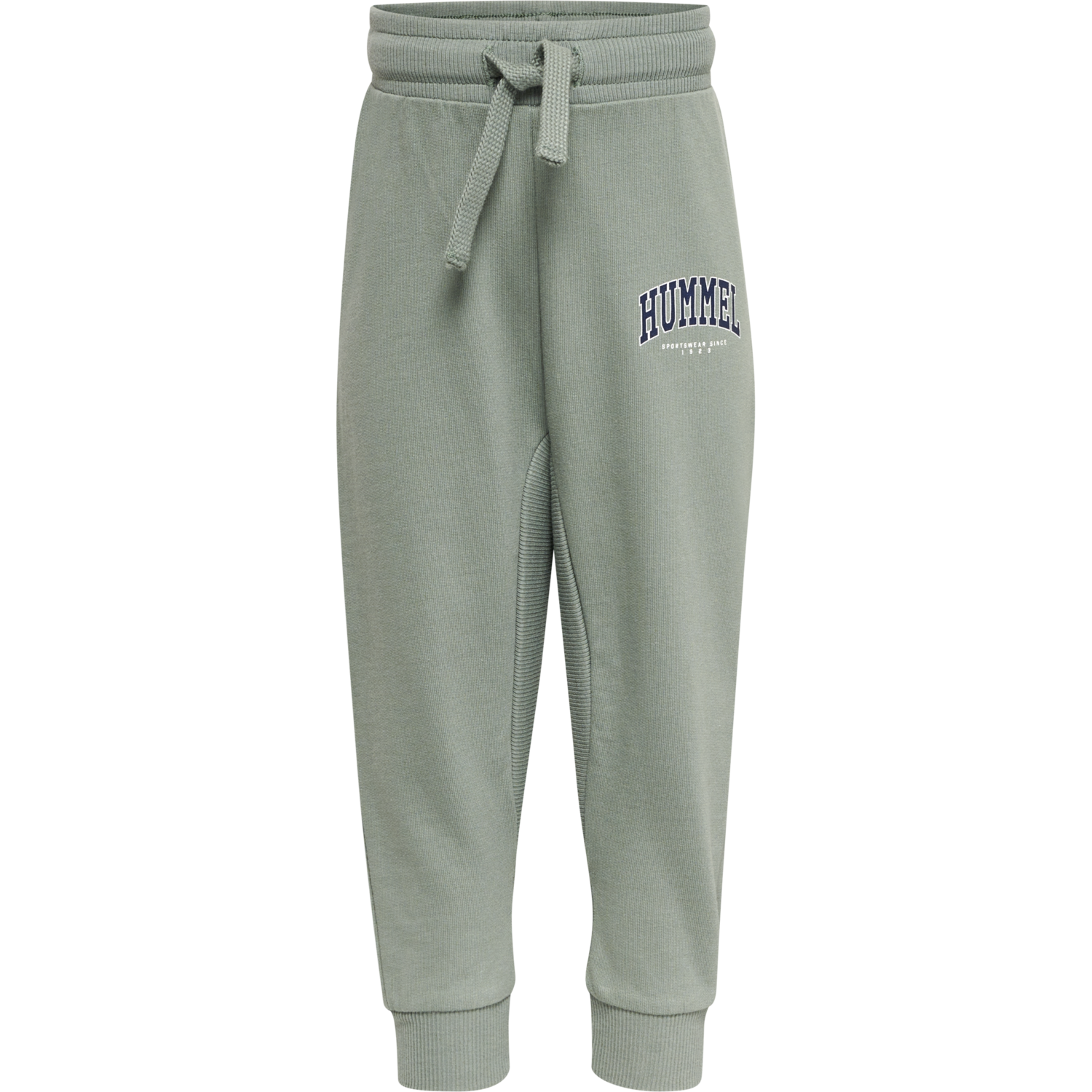 hmlFAST APPLE PANTS, SEA SPRAY, packshot