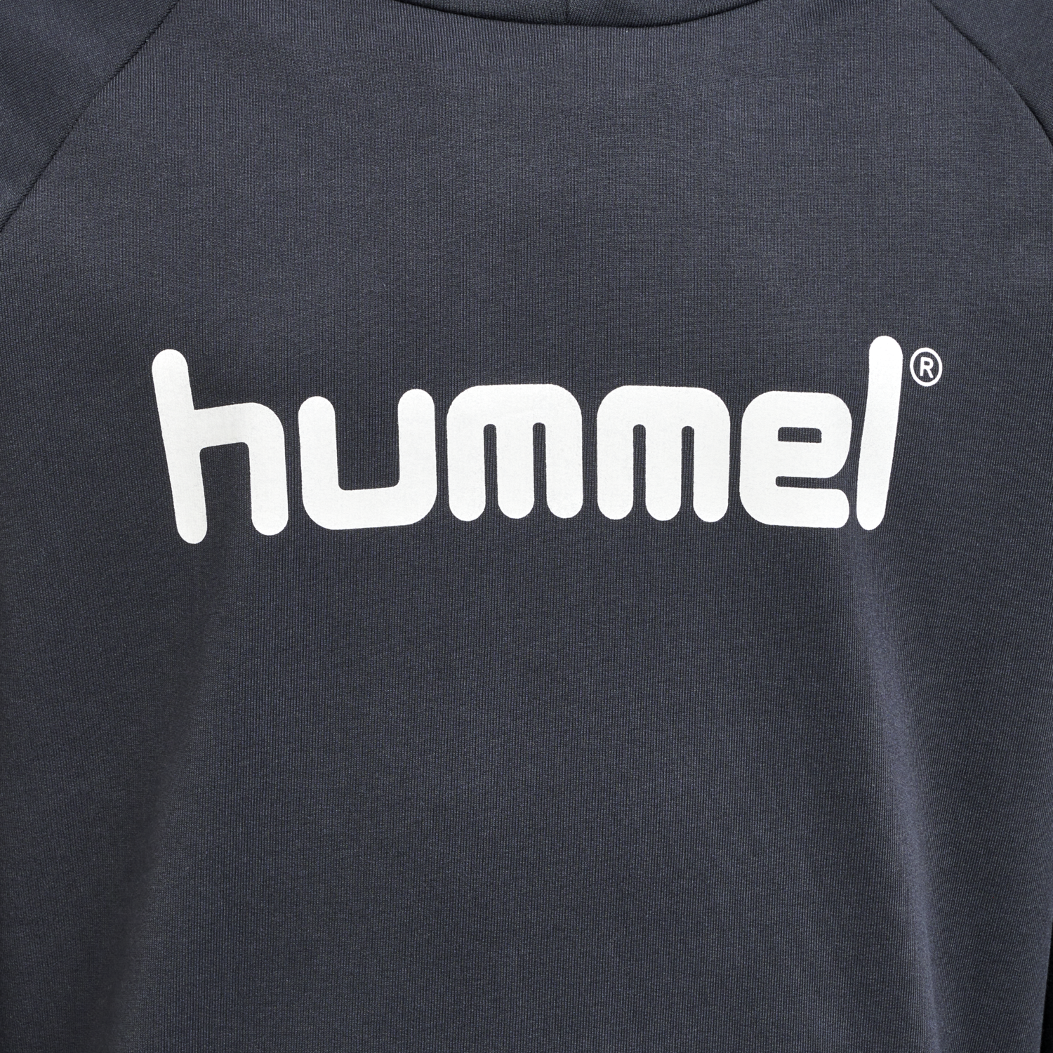 HMLGO KIDS COTTON LOGO HOODIE, INDIA INK, packshot