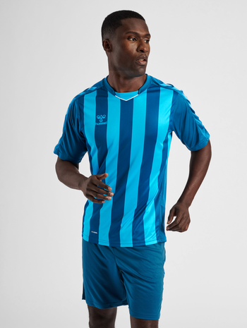 hmlCORE XK STRIPED JERSEY S/S, BLUE CORAL, model