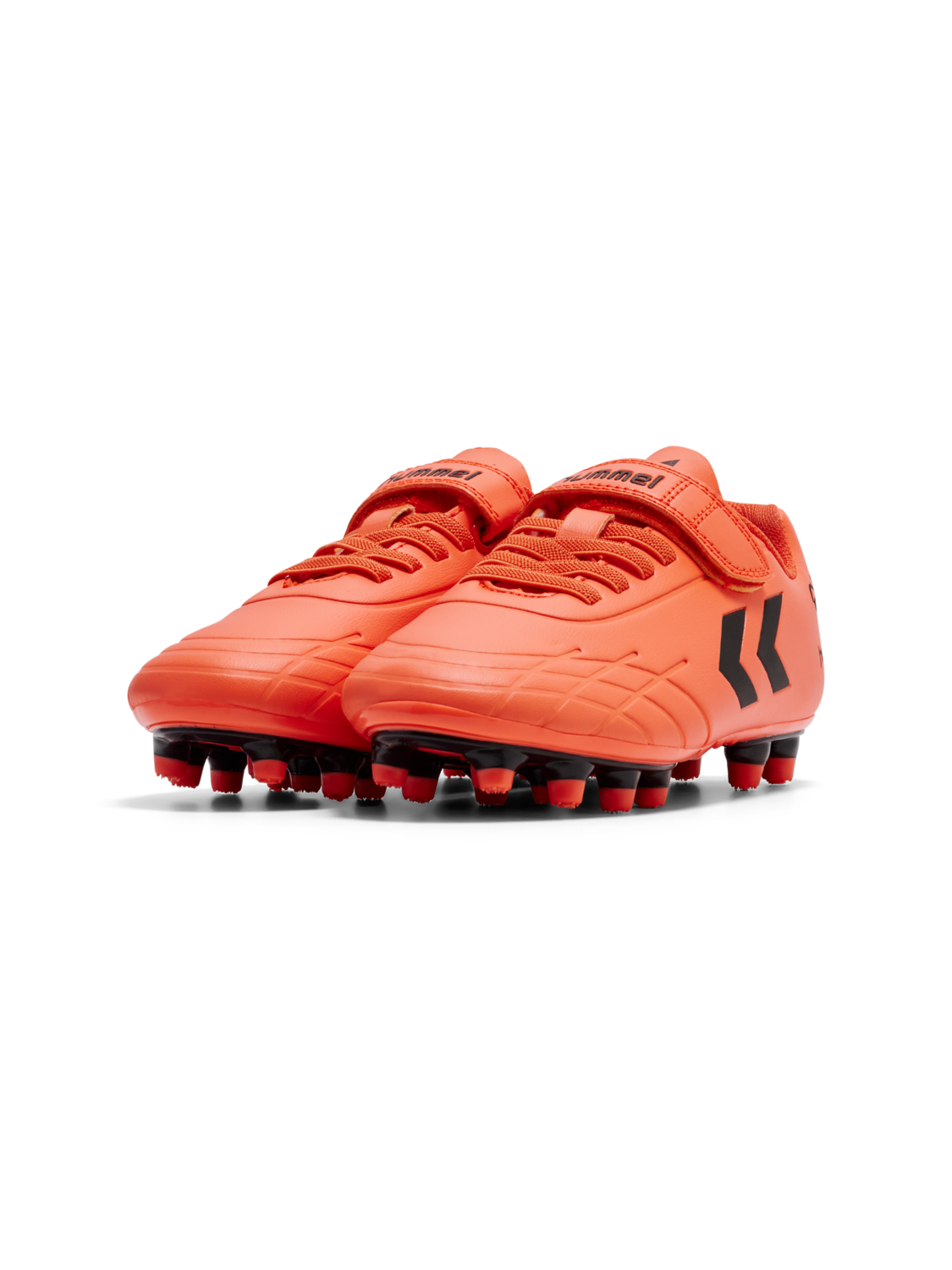 TOP STAR F.G. JR, NASTURTIUM, packshot