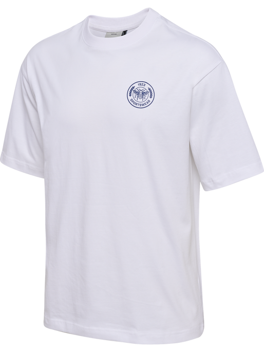 hmlSWARM LOOSE T-SHIRT, WHITE hmlSWARM LOOSE T-SHIRT, WHITE, packshot