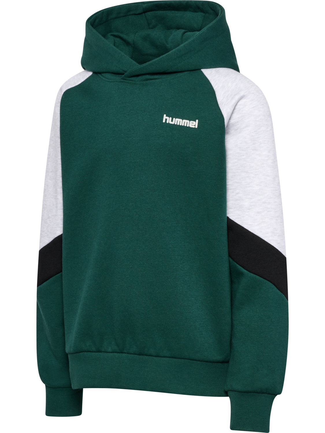 hmlJR LOOSE BLOCKED HOODIE, JUNE BUG, packshot