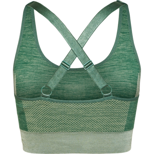 hmlCLEA SEAMLESS  SPORTS TOP, LAUREL WREATH/LILY PAD MELANGE, packshot