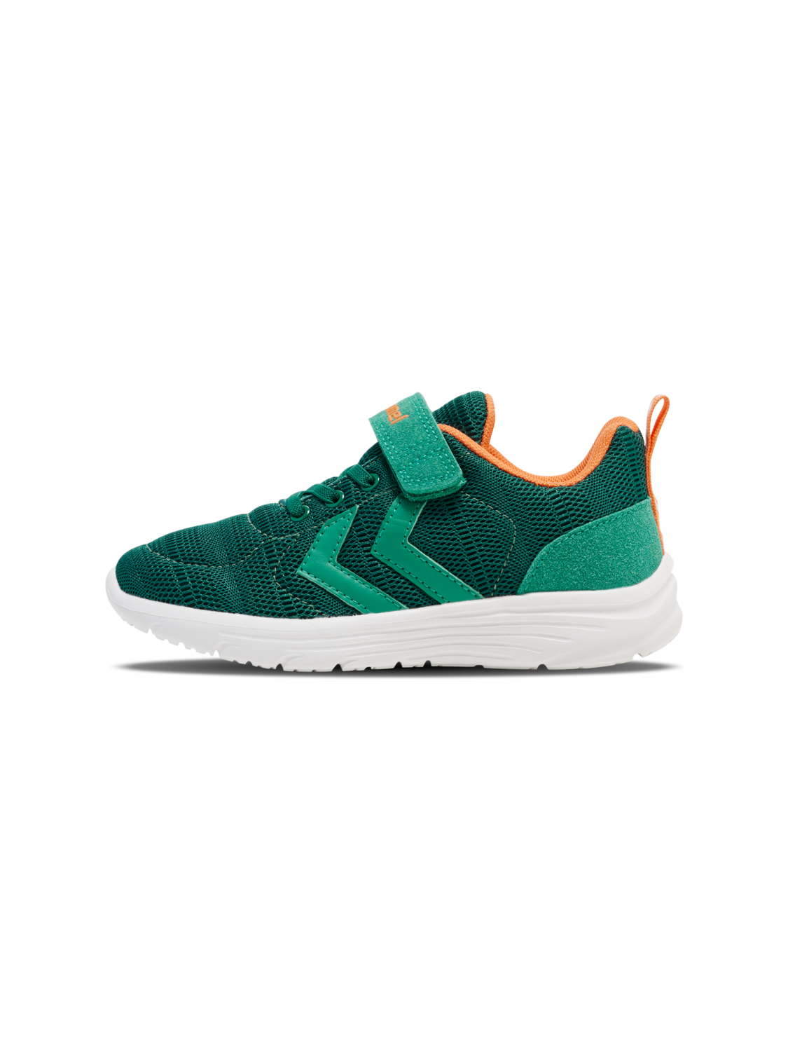 PACE JR, !EVERGREEN, packshot