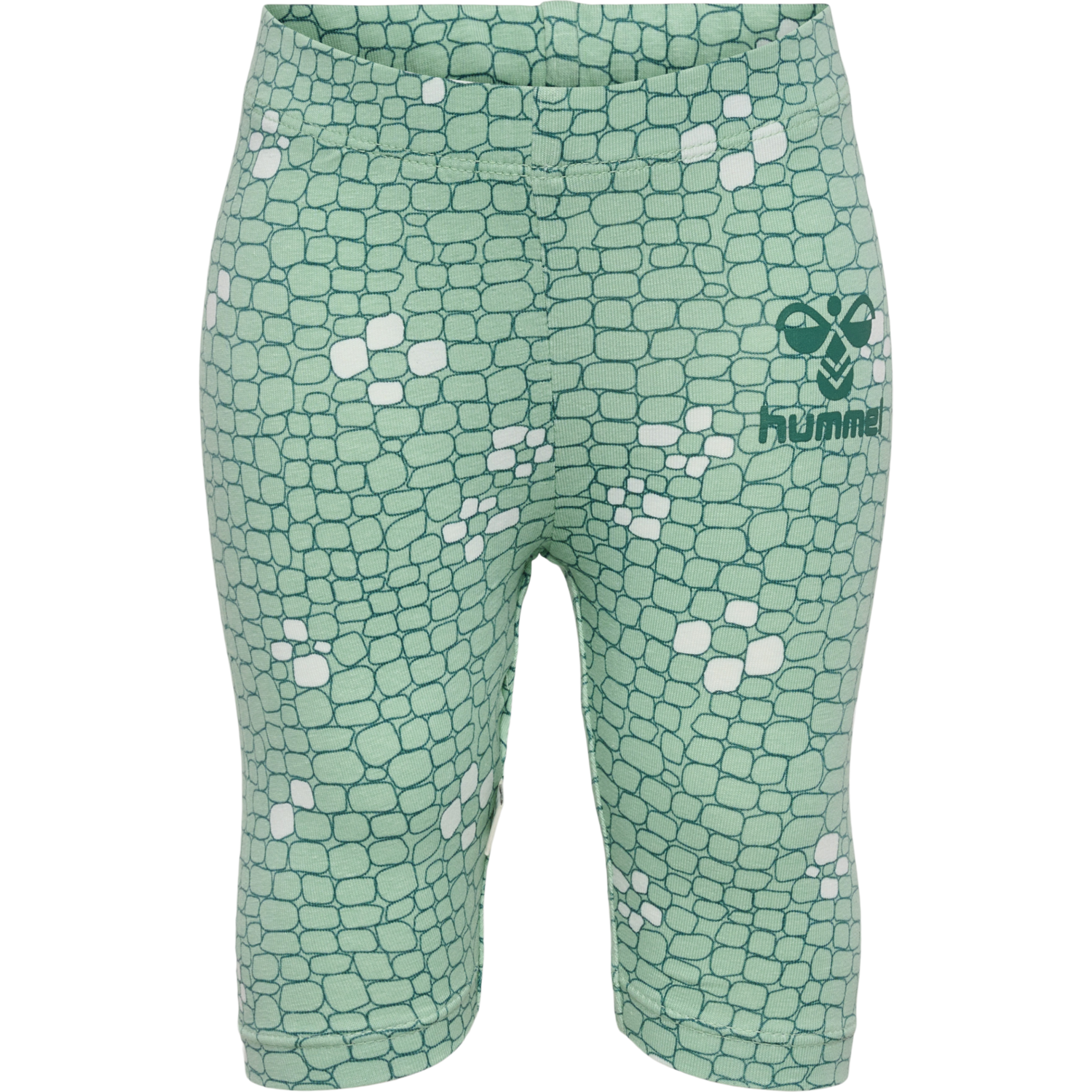 hmlZANZI TIGHTS CAPRI, SILT GREEN, packshot