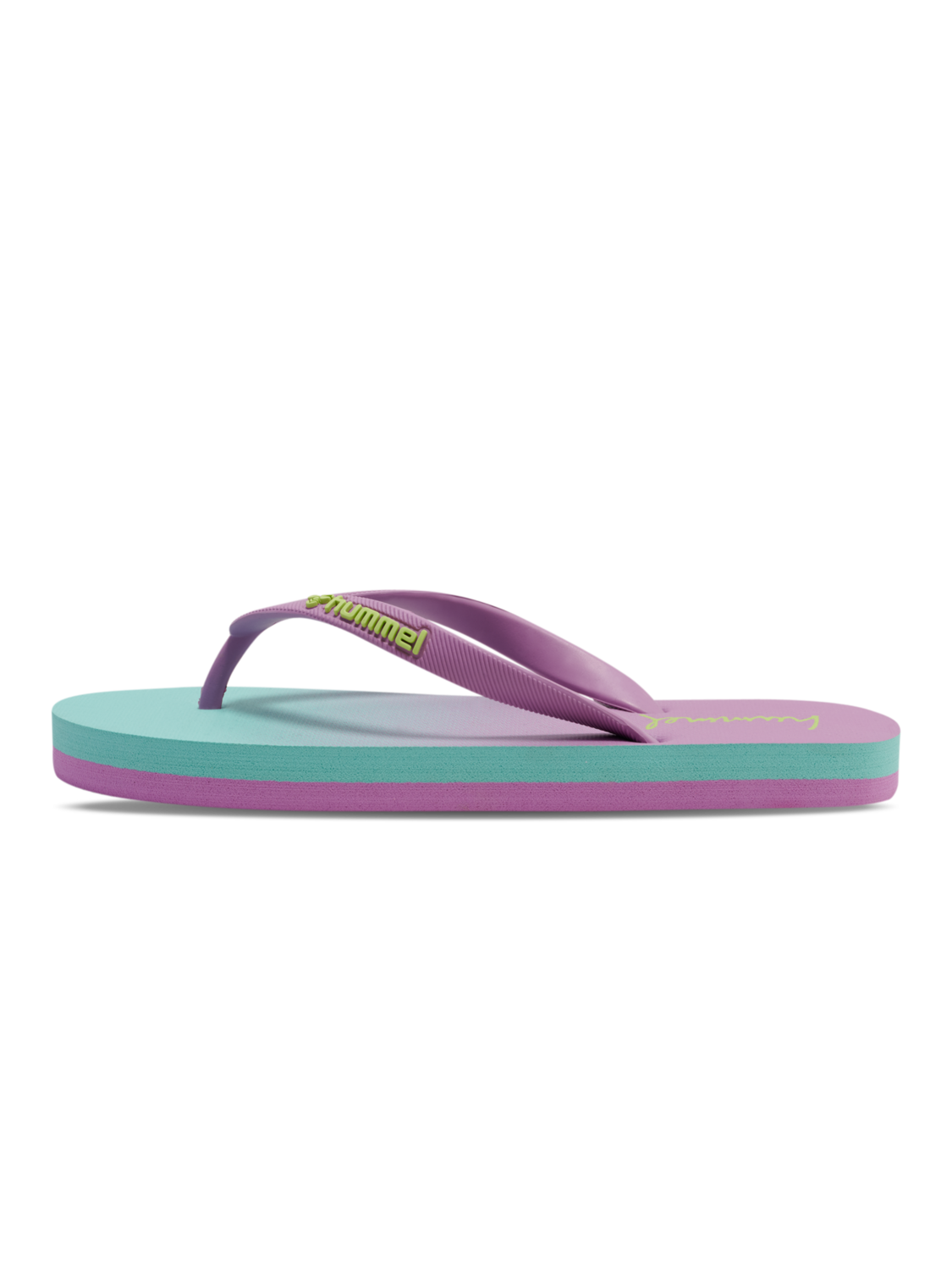 FLIP FLOP GRADIENT, VIOLET, packshot