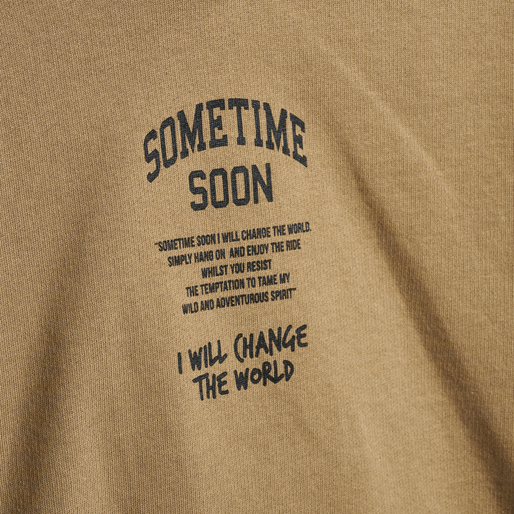 stmDIMAS HOODIE, SEPIA TINT stmDIMAS HOODIE, SEPIA TINT, packshot